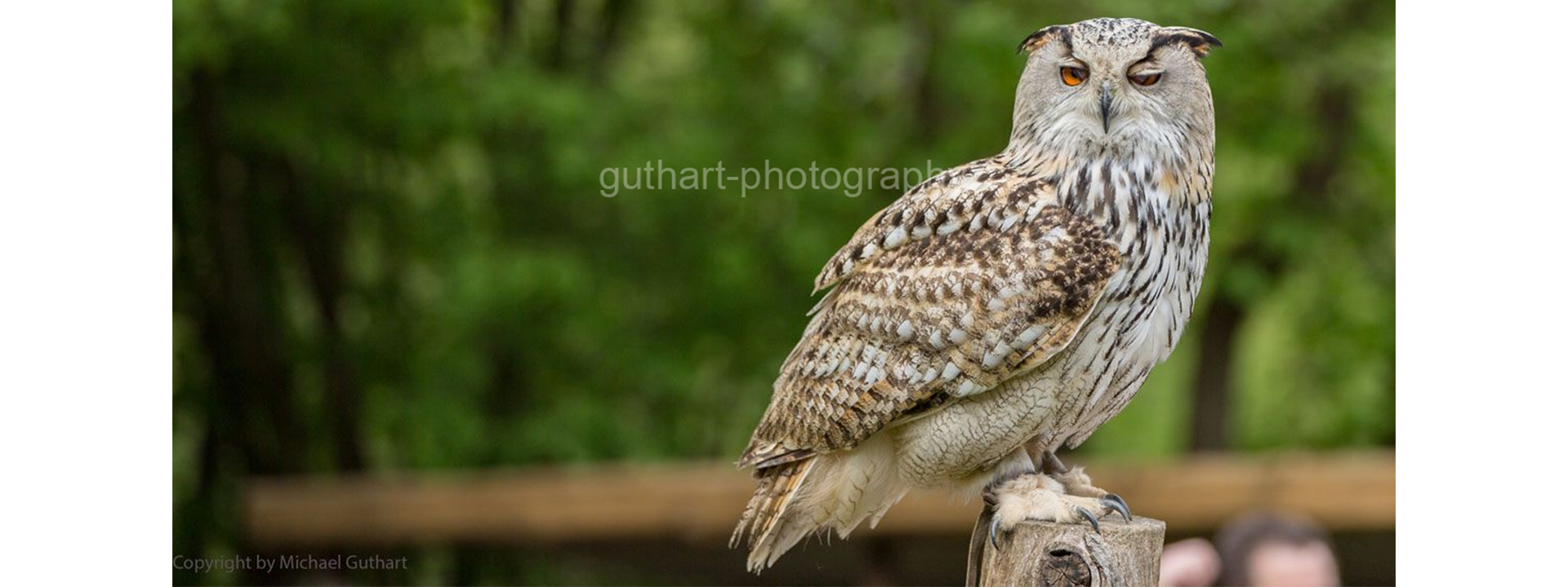 Tierisches